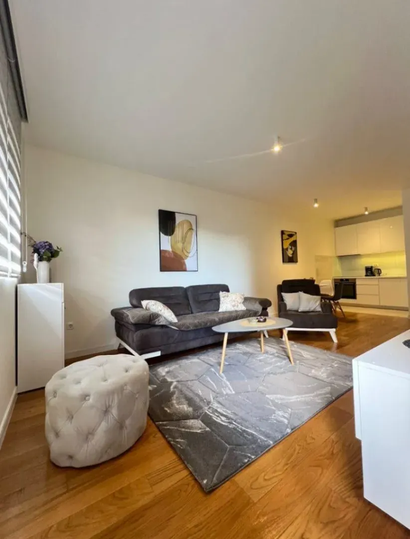 furnished apartment for sale Podgorica Central Point apartment for sale 1 bedroom apartment Podgorica 49 m2 apartment Podgorica Central Point Podgorica real estate, violet investment
