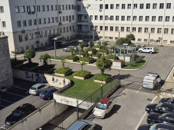 violet investment, apartment for rent