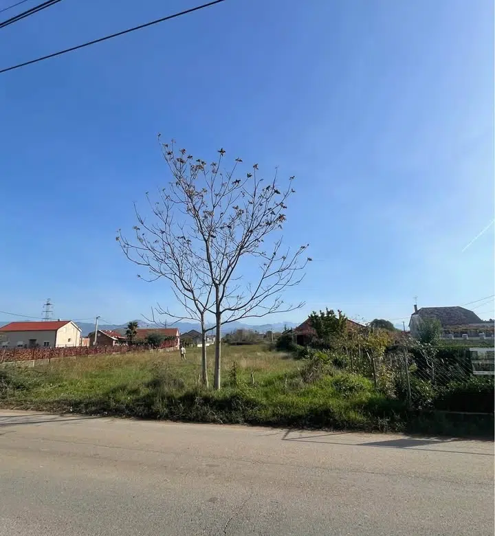 land for sale Donji Kokoti, 1832 m2 plot Podgorica, land with main road access Podgorica, building land Donji Kokoti, mixed-use land Podgorica, residential or commercial land Montenegro, investment land Donji Kokoti, plot for house or building Podgorica, flat plot for construction, zemljište na prodaju Donji Kokoti, plac 1832m2 Podgorica, plac sa izlazom na glavnu ulicu, građevinsko zemljište 65e po m2, investicioni plac Podgorica, plac za stambeno-poslovni objekat Donji Kokoti, violet investment, violet investment montenegro