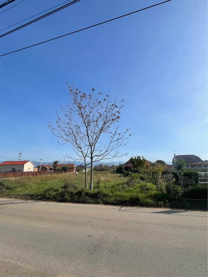 land for sale Donji Kokoti, 1832 m2 plot Podgorica, land with main road access Podgorica, building land Donji Kokoti, mixed-use land Podgorica, residential or commercial land Montenegro, investment land Donji Kokoti, plot for house or building Podgorica, flat plot for construction, zemljište na prodaju Donji Kokoti, plac 1832m2 Podgorica, plac sa izlazom na glavnu ulicu, građevinsko zemljište 65e po m2, investicioni plac Podgorica, plac za stambeno-poslovni objekat Donji Kokoti, violet investment, violet investment montenegro