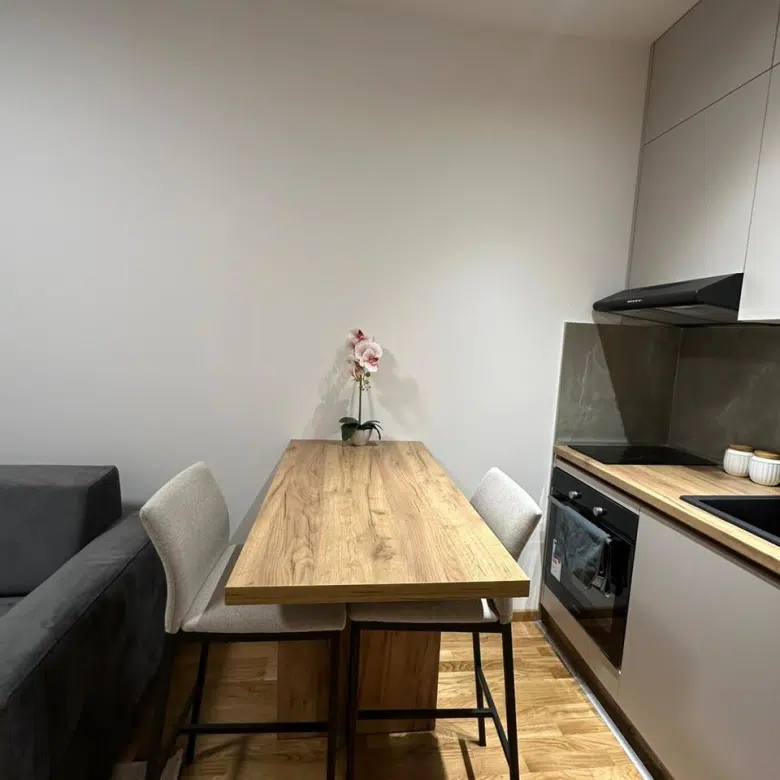 Studio Apartment For Rent,24m2,Garden Complex,Zabjelo,Podgorica