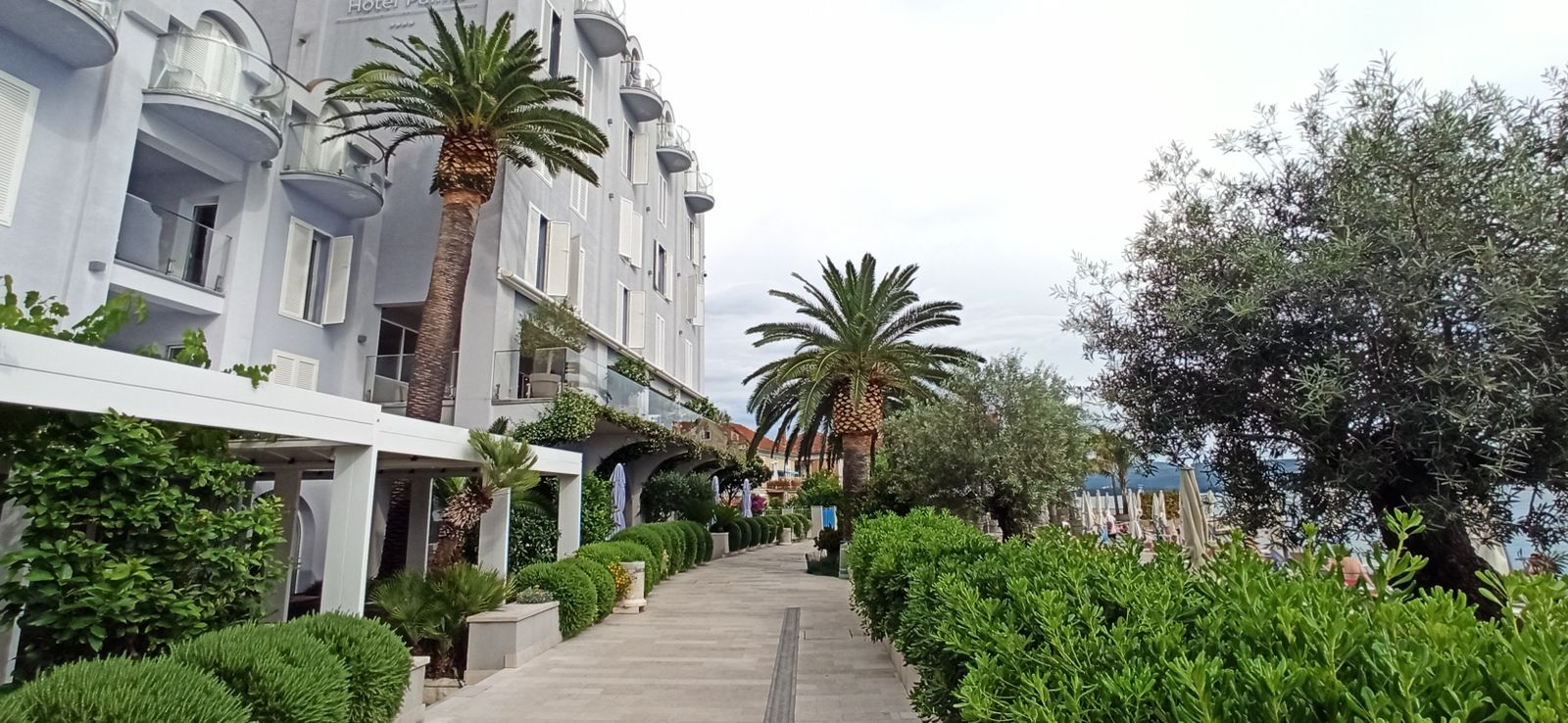 studio for sale Tivat, central Tivat apartment, Technomax building Tivat, 24.5 m2 studio Montenegro, furnished studio Tivat, new building in Tivat center, apartment near Porto Montenegro, investment property Tivat, studio for long and short term rental, office or cabinet space Tivat, first floor studio with lift, quiet courtyard facing apartment, property near promenade and beaches Tivat, nekretnine Tivat prodaja, garsonjera centar Tivta, studio apartman Porto Montenegro lokacija, stan za investiciju Tivat, namještena garsonjera Crna Gora, violet investment, violet investment montenegro