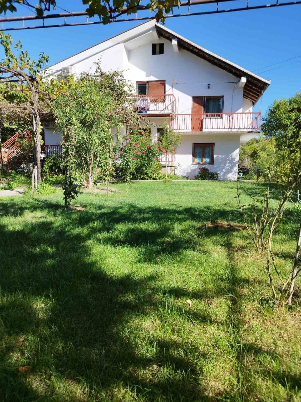 WhatsApp Image 2025-11-11 at 124222_3ea37cef