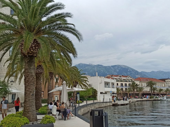 studio for sale Tivat, central Tivat apartment, Technomax building Tivat, 24.5 m2 studio Montenegro, furnished studio Tivat, new building in Tivat center, apartment near Porto Montenegro, investment property Tivat, studio for long and short term rental, office or cabinet space Tivat, first floor studio with lift, quiet courtyard facing apartment, property near promenade and beaches Tivat, nekretnine Tivat prodaja, garsonjera centar Tivta, studio apartman Porto Montenegro lokacija, stan za investiciju Tivat, namještena garsonjera Crna Gora, violet investment, violet investment montenegro