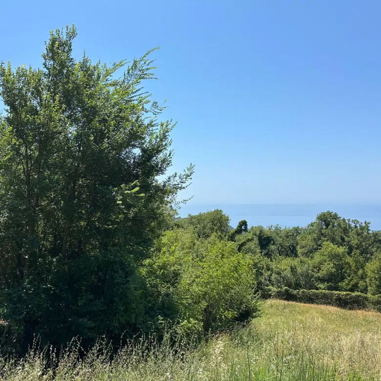 land for sale Kuljače, urbanized land above Kamenovo, sea view plot Budva, land 2 km from beach Montenegro, building land Budva municipality, residential land with sea view, plot with asphalt road access, land near Kamenovo beach, investment land Budva Riviera, quiet village land Montenegro, nekretnine Budva prodaja, urbanizovan plac Kuljače, plac sa pogledom na more Kamenovo, zemljište za kuću ili vilu Budva, plac 2km od mora Crna Gora, violet investment, violet investment montenegro