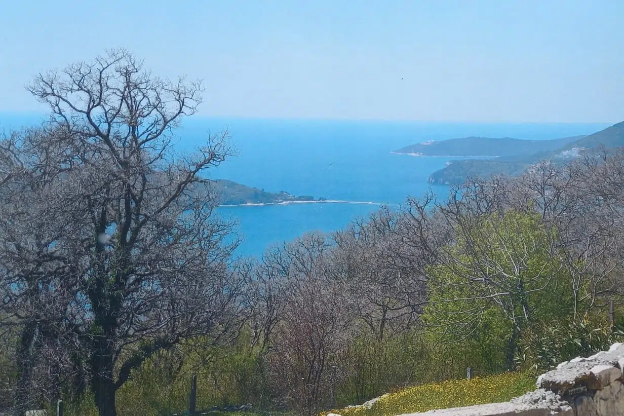 land for sale Kuljače, urbanized land above Kamenovo, sea view plot Budva, land 2 km from beach Montenegro, building land Budva municipality, residential land with sea view, plot with asphalt road access, land near Kamenovo beach, investment land Budva Riviera, quiet village land Montenegro, nekretnine Budva prodaja, urbanizovan plac Kuljače, plac sa pogledom na more Kamenovo, zemljište za kuću ili vilu Budva, plac 2km od mora Crna Gora, violet investment, violet investment montenegro land for sale Kuljače, urbanized land above Kamenovo, sea view plot Budva, land 2 km from beach Montenegro, building land Budva municipality, residential land with sea view, plot with asphalt road access, land near Kamenovo beach, investment land Budva Riviera, quiet village land Montenegro, nekretnine Budva prodaja, urbanizovan plac Kuljače, plac sa pogledom na more Kamenovo, zemljište za kuću ili vilu Budva, plac 2km od mora Crna Gora, violet investment, violet investment montenegro