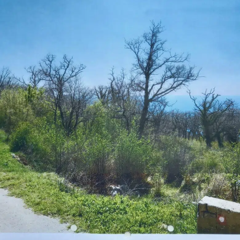 land for sale Kuljače, urbanized land above Kamenovo, sea view plot Budva, land 2 km from beach Montenegro, building land Budva municipality, residential land with sea view, plot with asphalt road access, land near Kamenovo beach, investment land Budva Riviera, quiet village land Montenegro, nekretnine Budva prodaja, urbanizovan plac Kuljače, plac sa pogledom na more Kamenovo, zemljište za kuću ili vilu Budva, plac 2km od mora Crna Gora, violet investment, violet investment montenegro