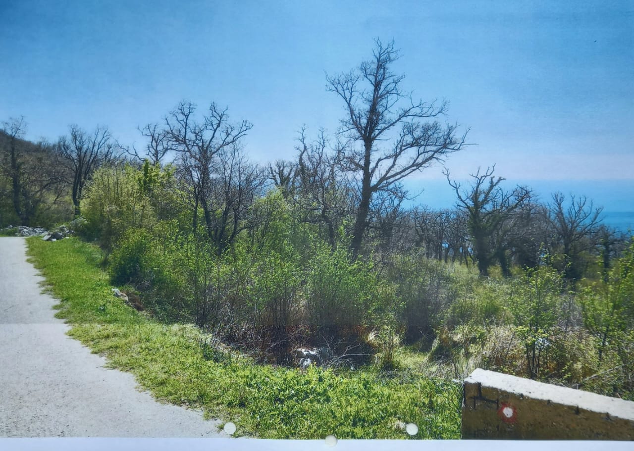 land for sale Kuljače, urbanized land above Kamenovo, sea view plot Budva, land 2 km from beach Montenegro, building land Budva municipality, residential land with sea view, plot with asphalt road access, land near Kamenovo beach, investment land Budva Riviera, quiet village land Montenegro, nekretnine Budva prodaja, urbanizovan plac Kuljače, plac sa pogledom na more Kamenovo, zemljište za kuću ili vilu Budva, plac 2km od mora Crna Gora, violet investment, violet investment montenegro