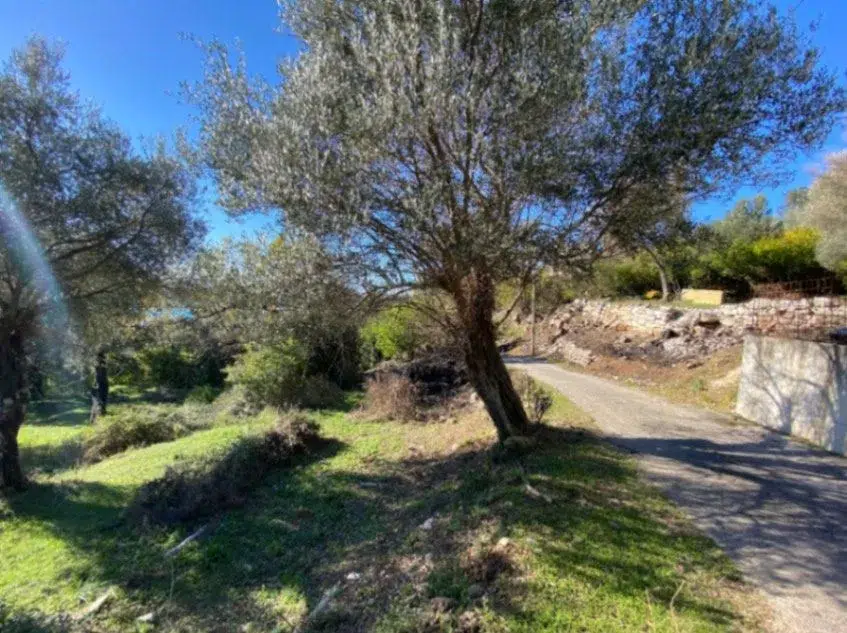 land for sale Mrčevac Tivat, sea view plot Tivat, 1258 m2 villa land Montenegro, plot for two cascading villas, development land with road access Tivat, coastal land near Tivat, investment land Bay of Kotor area, UTU land Montenegro, građevinsko zemljište Mrčevac, plac sa pogledom na more Tivat, zemljište za luksuzne vile Crna Gora, violet investment, violet investment