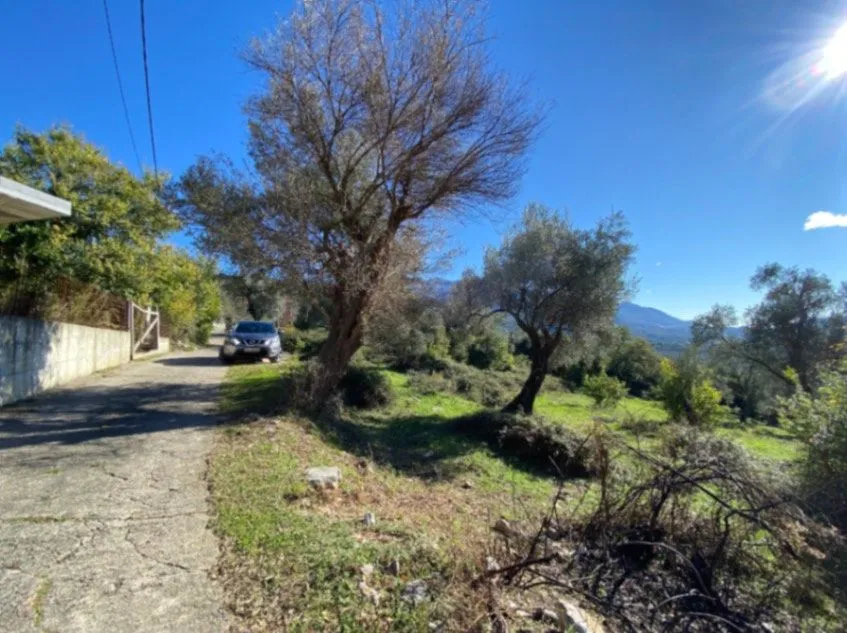 land for sale Mrčevac Tivat, sea view plot Tivat, 1258 m2 villa land Montenegro, plot for two cascading villas, development land with road access Tivat, coastal land near Tivat, investment land Bay of Kotor area, UTU land Montenegro, građevinsko zemljište Mrčevac, plac sa pogledom na more Tivat, zemljište za luksuzne vile Crna Gora, violet investment, violet investment