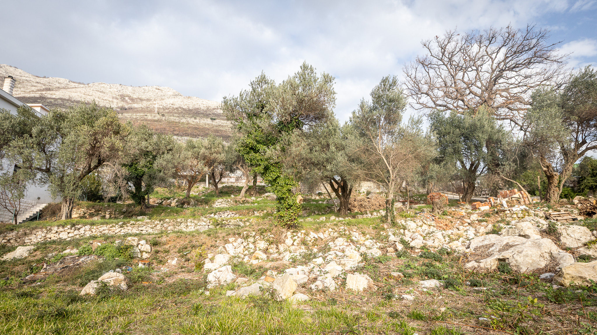 sea view land for sale Montenegro, 1740 m2 plot Adriatic, villa land near Budva, luxury residential land Montenegro, panoramic sea view plot, tiered terrain for villas, prestigious coastal area Montenegro, land for two villas for sale, investment land near Budva, private road access land, land surrounded by luxury villas, exclusive coastal plot Montenegro, nekretnine zemljište prodaja, plac sa pogledom na more Crna Gora, zemljište za luksuznu vilu, plac za dvije vile, investiciono zemljište primorje Crne Gore,violet investment, violet investment montenegro