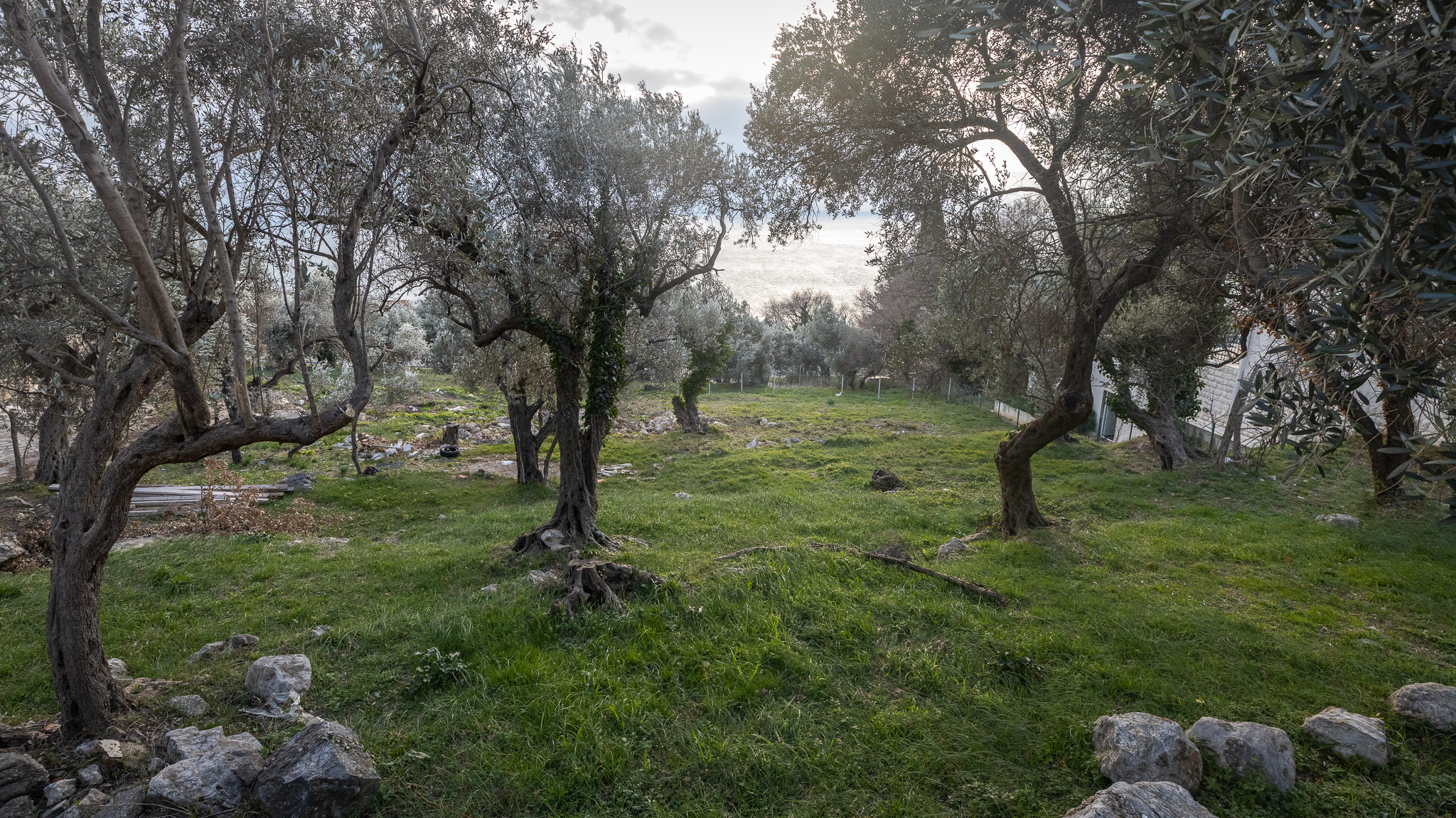 sea view land for sale Montenegro, 1740 m2 plot Adriatic, villa land near Budva, luxury residential land Montenegro, panoramic sea view plot, tiered terrain for villas, prestigious coastal area Montenegro, land for two villas for sale, investment land near Budva, private road access land, land surrounded by luxury villas, exclusive coastal plot Montenegro, nekretnine zemljište prodaja, plac sa pogledom na more Crna Gora, zemljište za luksuznu vilu, plac za dvije vile, investiciono zemljište primorje Crne Gore,violet investment, violet investment montenegro