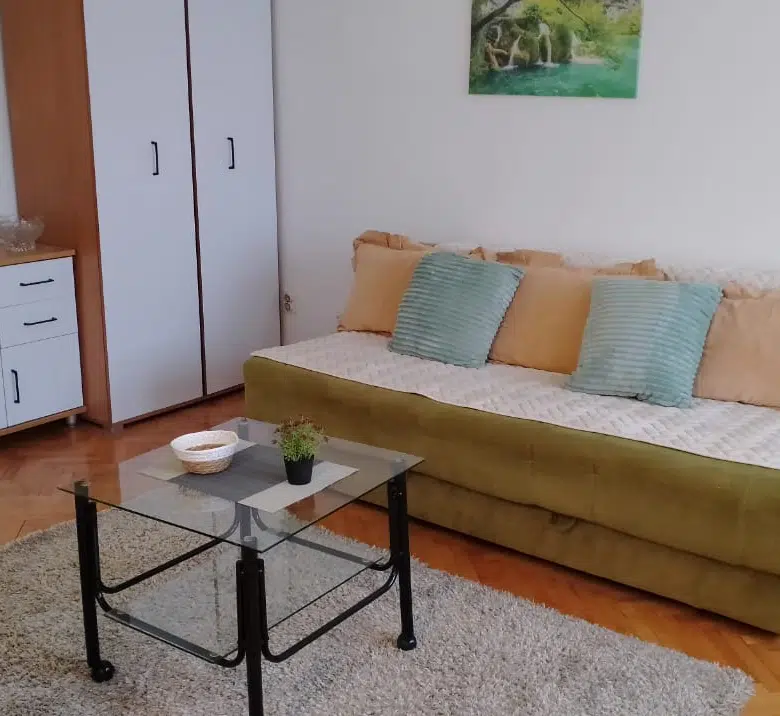 One Bedroom Apartment For Rent,46m2,Stari Aerodrom,Podgorica
