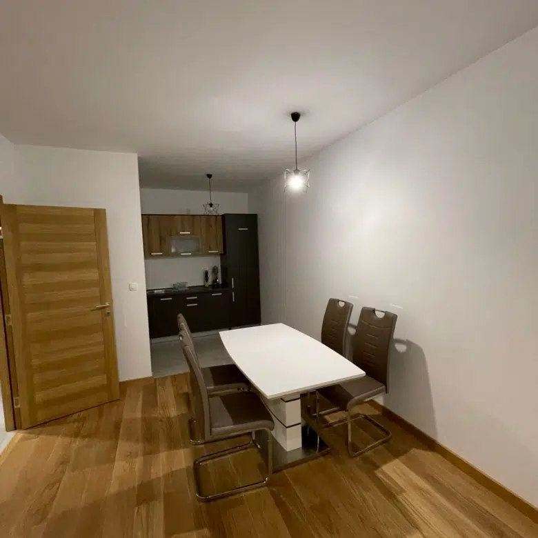 One Bedroom Apartemnet For Rent,48m2,New City,Podgorica
