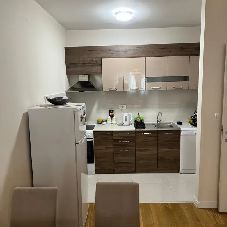One Bedroom Apartment For Rent,49m2,Central Point,Podgorica
