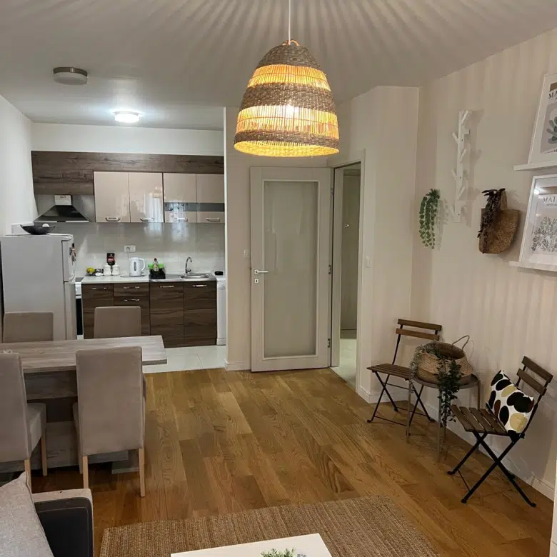 One Bedroom Apartment For Rent,49m2,Central Point,Podgorica