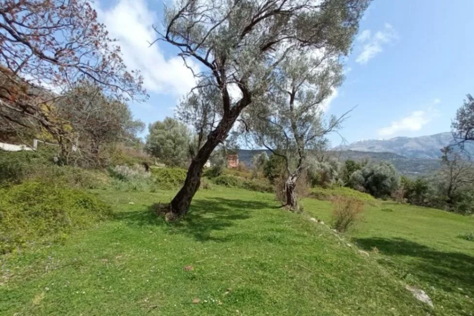 house with land for sale Mrčevac, Tivat sea view estate, 57 m2 house with 4216 m2 plot, property with road access Tivat, land with house Montenegro, estate for villa development Tivat, investment land with building Mrčevac, coastal house with large plot Bay of Kotor, nekretnine Tivat prodaja, kuća sa velikim placem Mrčevac, imanje sa pogledom na more Crna Gora, zemljište za razvoj turističkog ili stambenog kompleksa, violet investment, violet investment montenegro