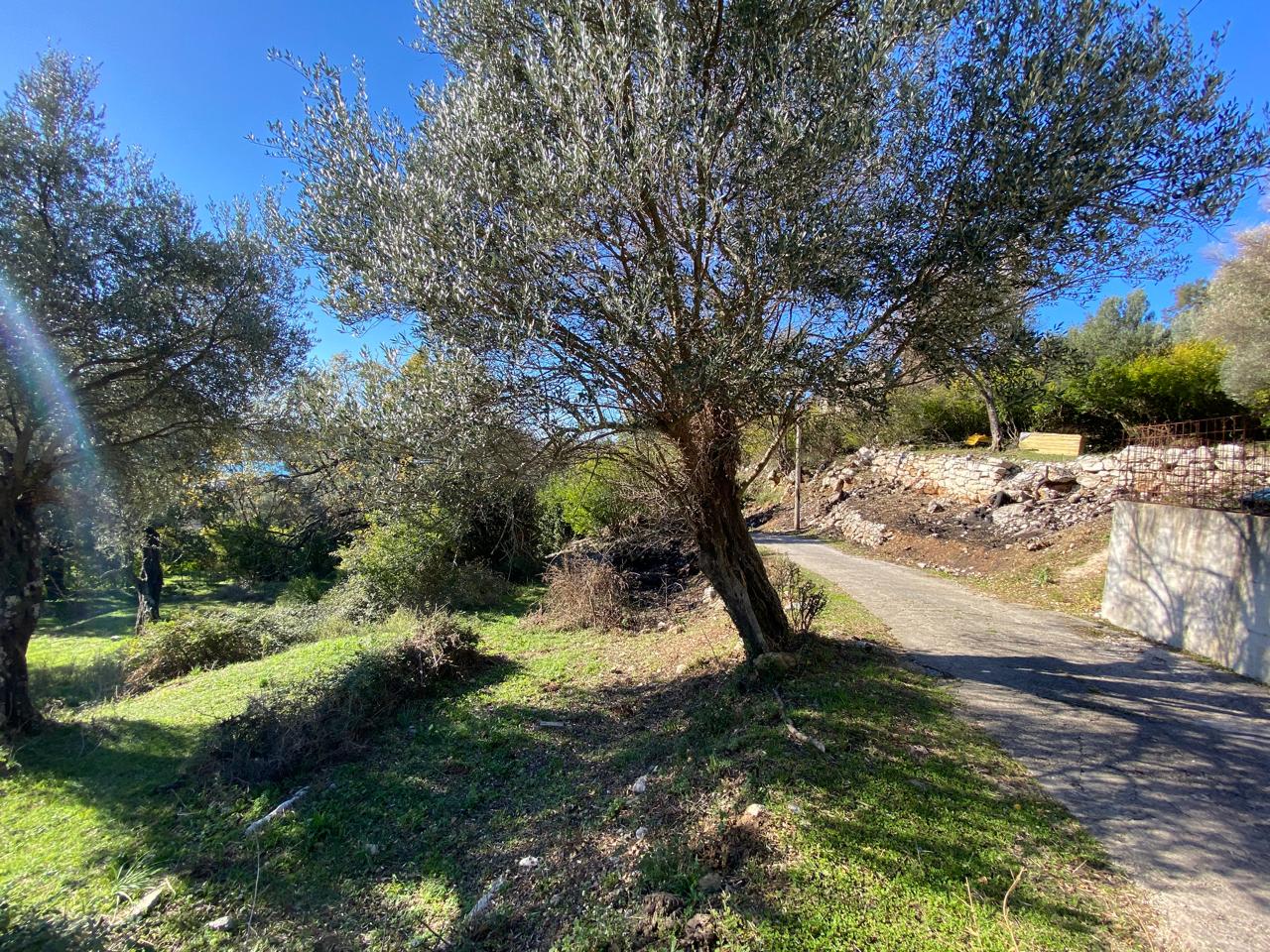 house with land for sale Mrčevac, Tivat sea view estate, 57 m2 house with 4216 m2 plot, property with road access Tivat, land with house Montenegro, estate for villa development Tivat, investment land with building Mrčevac, coastal house with large plot Bay of Kotor, nekretnine Tivat prodaja, kuća sa velikim placem Mrčevac, imanje sa pogledom na more Crna Gora, zemljište za razvoj turističkog ili stambenog kompleksa, violet investment, violet investment montenegro