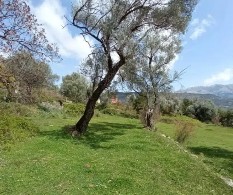 Sea-View Development Plot 1,258 m² – Ideal for Two Cascading Villas, Mrčevac, Tivat