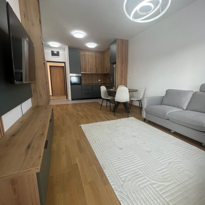 One-Bedroom Apartment for Rent – Master 88 (Stari Aerodrom), Podgorica