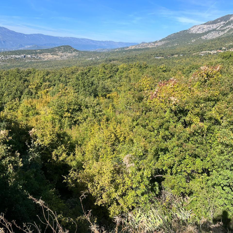 agricultural land for sale Podgorica, land for sale Spuz, land 47894m2 Podgorica, agricultural land Montenegro, land near Podgorica, investment land Montenegro, farmland for sale Montenegro, rural land Podgorica surroundings, land for house or farming, cheap land Montenegro, real estate land Podgorica, violet investment