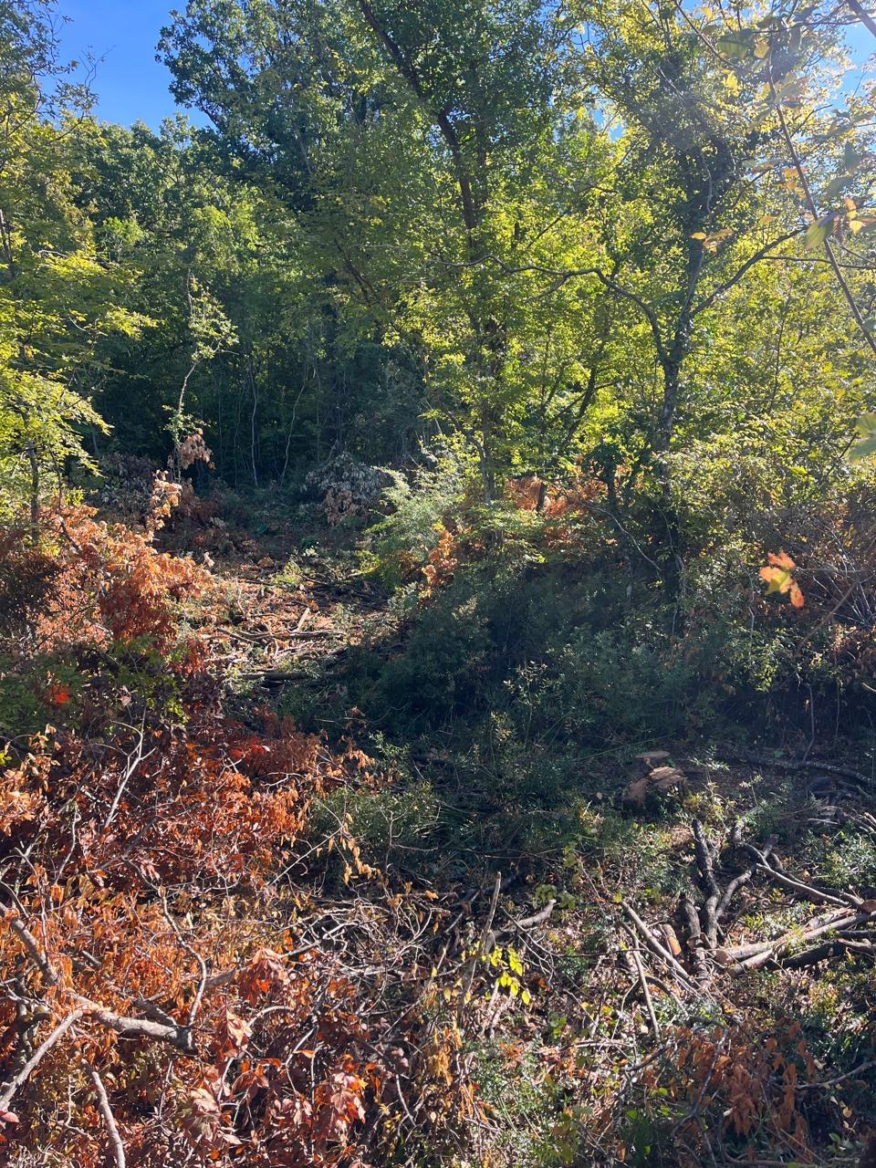 agricultural land for sale Podgorica, land for sale Spuz, land 47894m2 Podgorica, agricultural land Montenegro, land near Podgorica, investment land Montenegro, farmland for sale Montenegro, rural land Podgorica surroundings, land for house or farming, cheap land Montenegro, real estate land Podgorica, violet investment