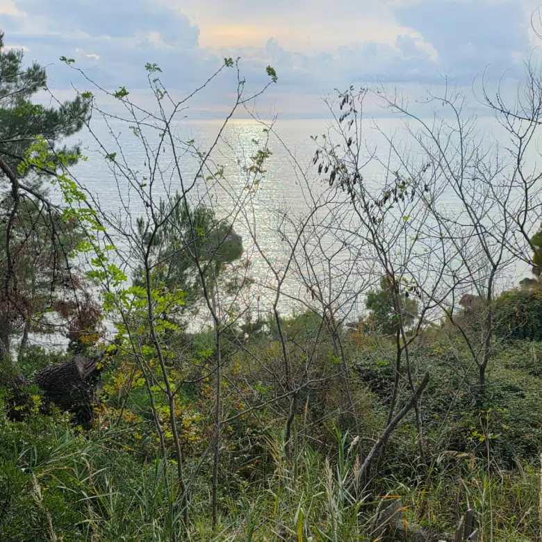 Land for Sale – Bar | Prime Location by the Sea and Main Road