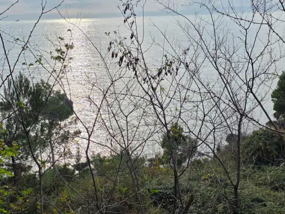 Land for Sale – Bar | Prime Location by the Sea and Main Road