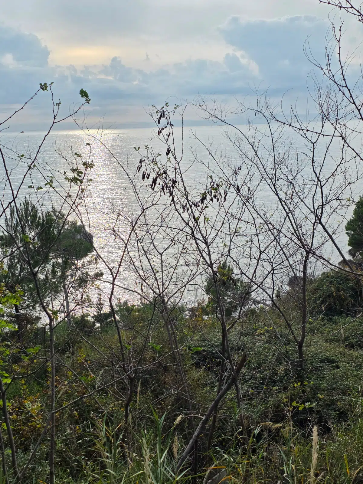 WhatsApp Image 2025-12-24 at 114343 1 Land for Sale – Bar | Prime Location by the Sea and Main Road