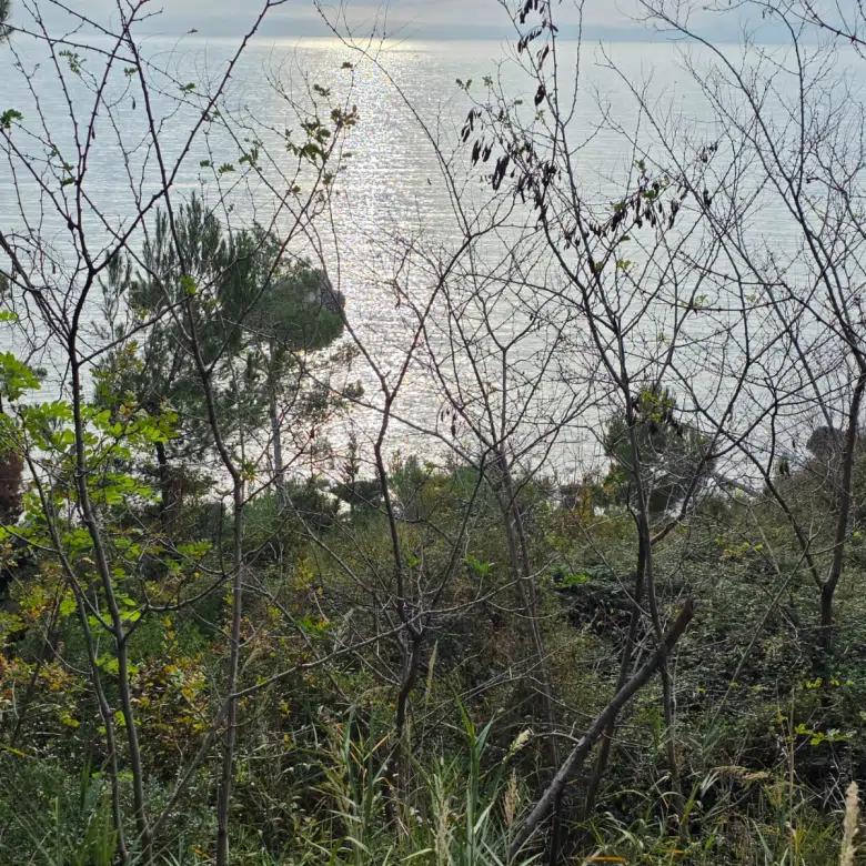 Land for Sale – Bar | Prime Location by the Sea and Main Road