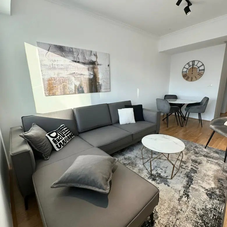 One Bedroom Apartment For Rent,53m2,Centar,Podgorica