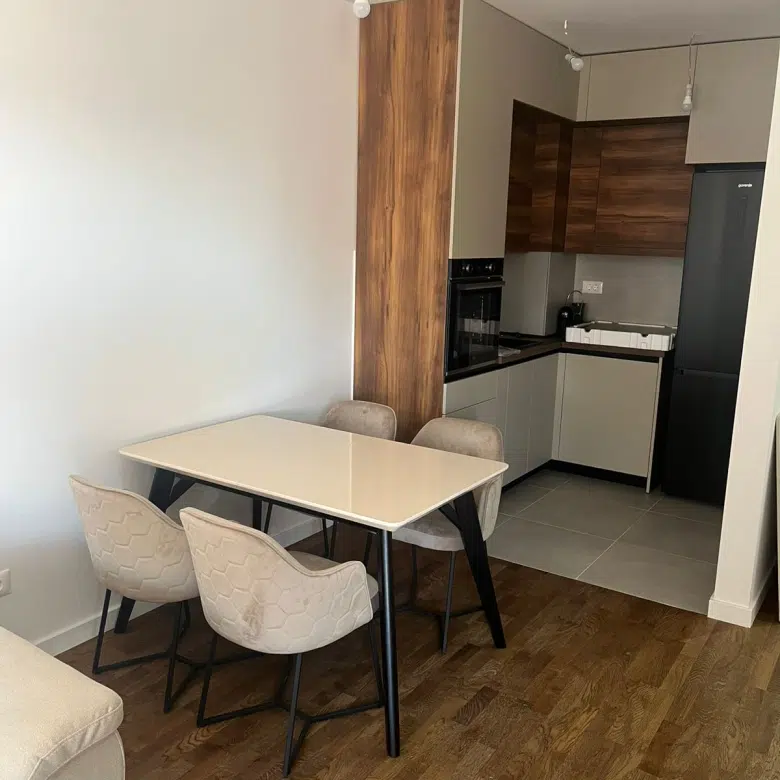 One Bedroom Apartment For Rent,46m2,Stari Aerodrom,Podgorica