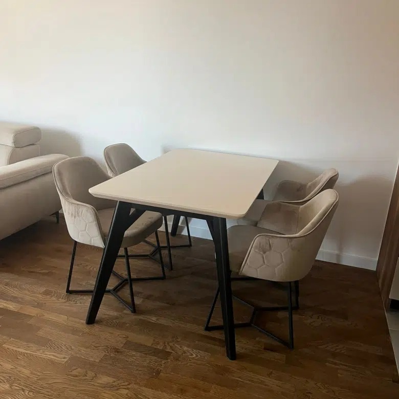One Bedroom Apartment For Rent,46m2,Stari Aerodrom,Podgorica