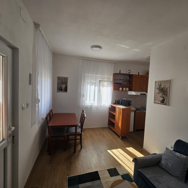 One Bedroom Apartment For Rent,38m2,Zagoric,Podgorica
