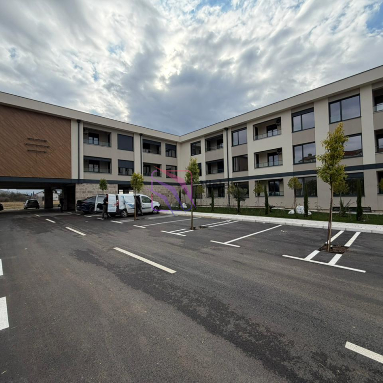 WhatsApp Image 2026 02 05 at 17.40.40 1