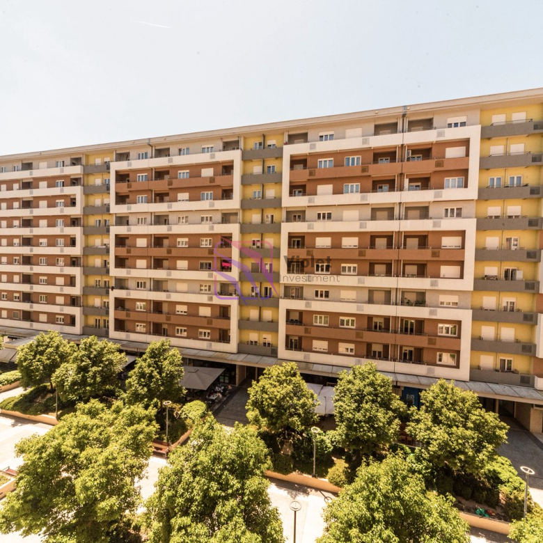 WhatsApp Image 2026 02 11 at 12.27.22 1