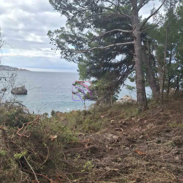 seafront land for sale Bar Montenegro, waterfront land Bar Montenegro, development land Bar Montenegro, sea view land Bar Montenegro, coastal investment property Montenegro, building land Bar seafront, land for hotel development Montenegro, Adriatic seafront land for sale, Montenegro real estate investment land, violet investment