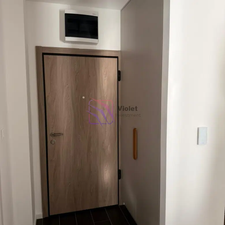 One Bedroom Apartment For Rent,37m2,Tološi,Podgorica