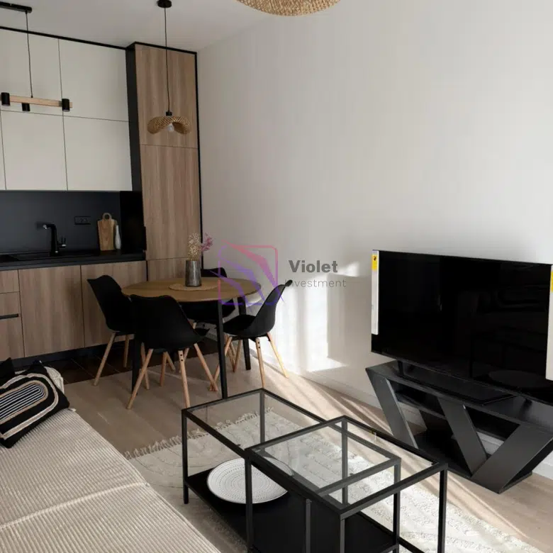 One Bedroom Apartment For Rent,37m2,Tološi,Podgorica