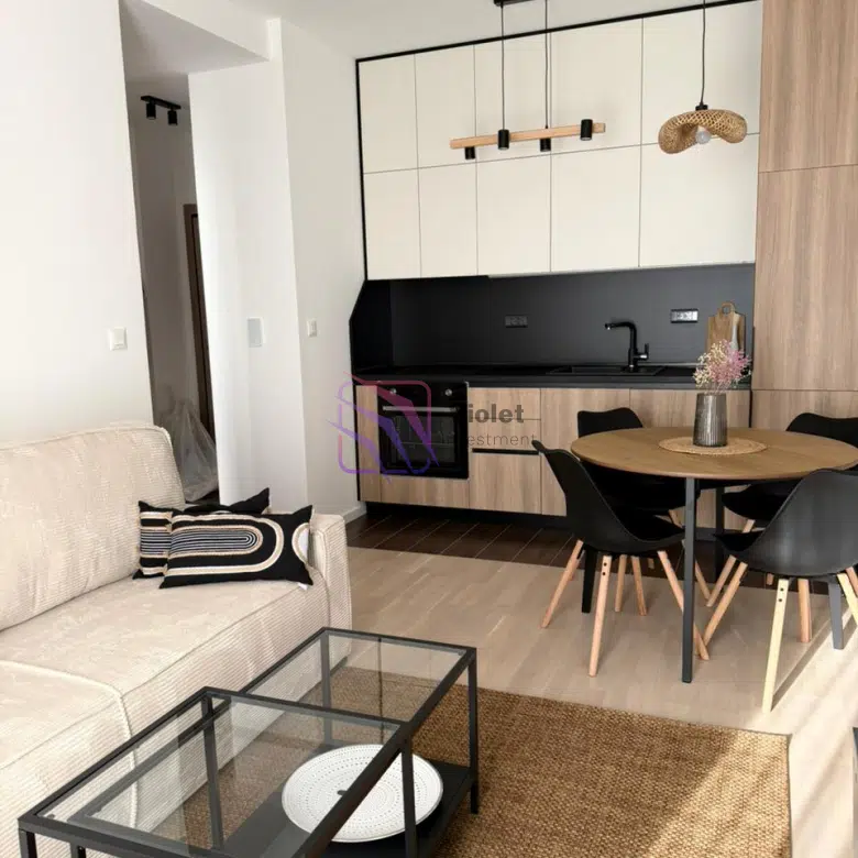 One Bedroom Apartment For Rent,37m2,Tološi,Podgorica