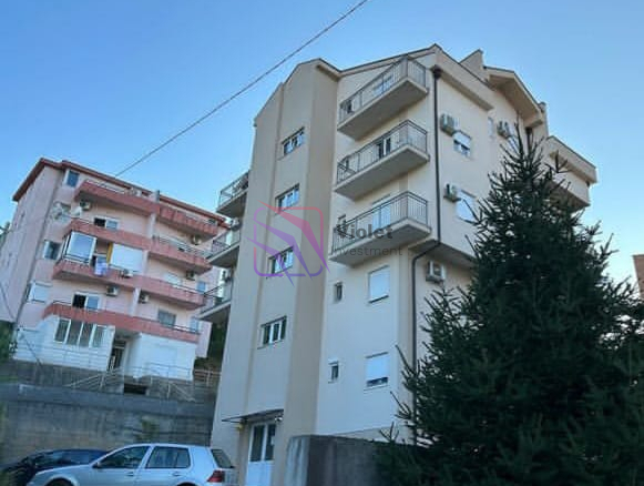 WhatsApp Image 2026 03 09 at 11.55.00