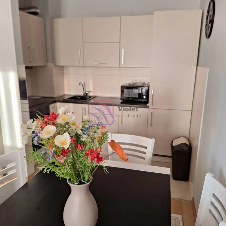 One Bedroom Apartment For Rent,46m2,City Kvart,Podgorica