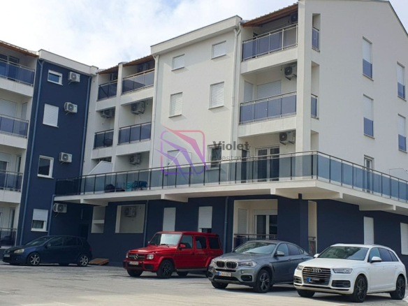 WhatsApp Image 2026 03 17 at 10.56.41 1