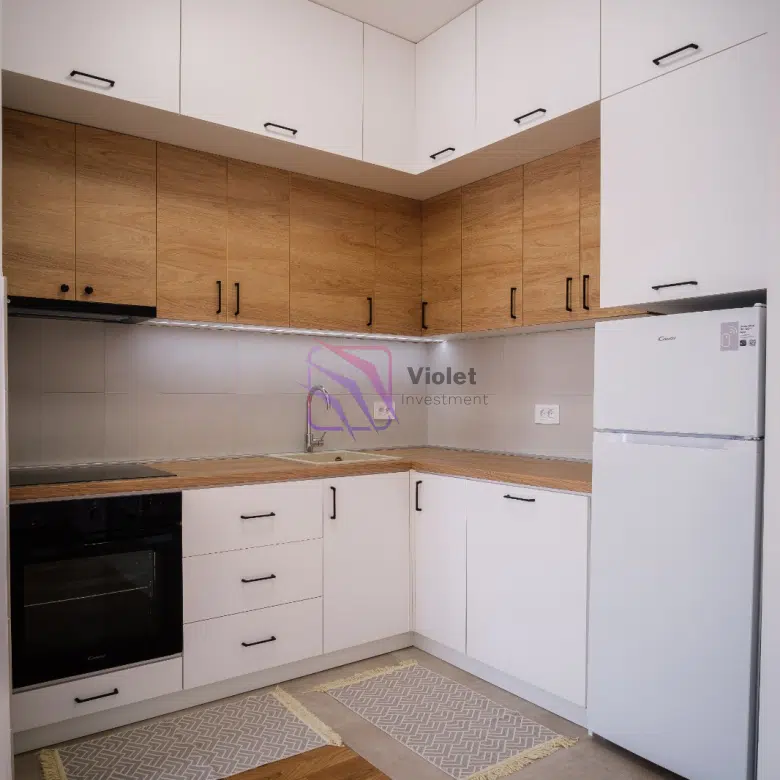 Bemax Master 88 building-One Bedroom Apartment For Rent with a garage-45m2-Stari Aerodrom-Podgorica