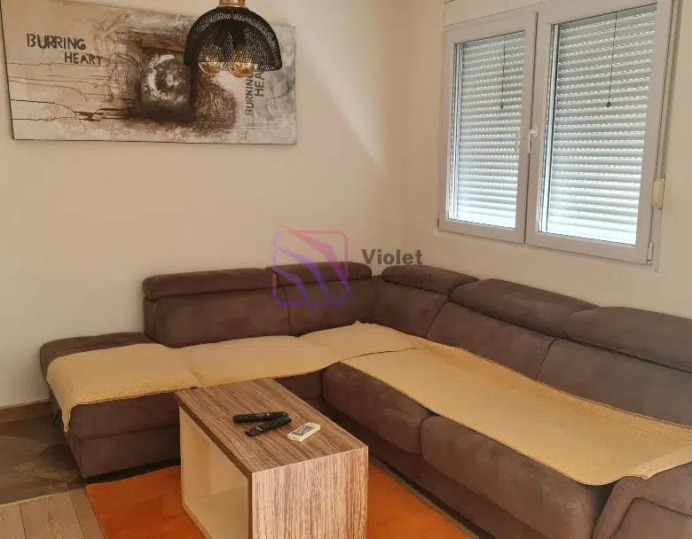 One Bedroom Apartment For Rent,54m2,Preko Morače,Podgorica