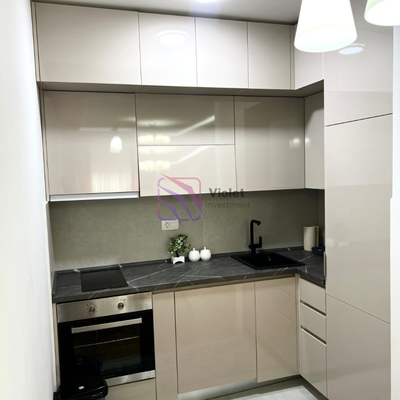 One Bedroom Apartment For Rent,47m2,Central Point,Podgorica