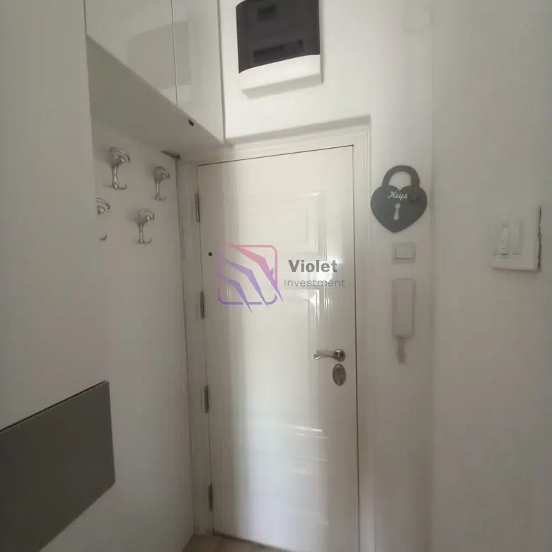 Studıo Apartment For Rent-Gintas-Podgorica