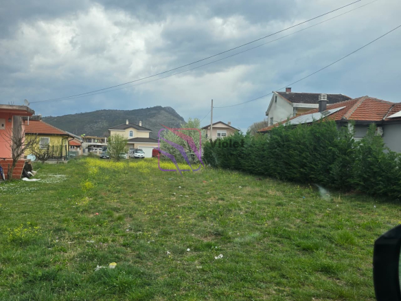 WhatsApp Image 2026 03 26 at 1.14.27 PM