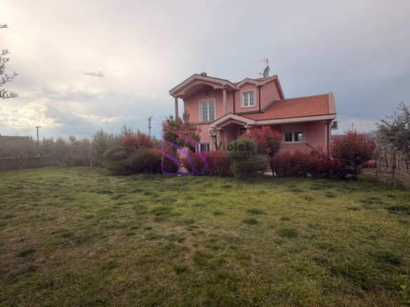 WhatsApp Image 2026 03 31 at 13.46.00