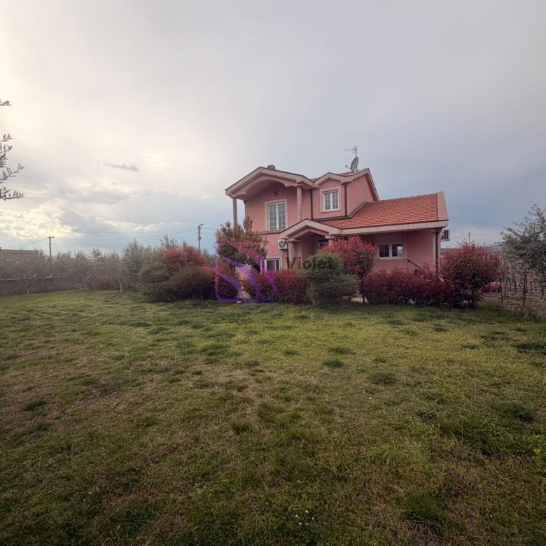 WhatsApp Image 2026 03 31 at 13.46.00